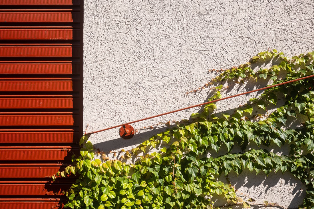 Building with Plants 